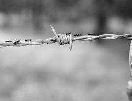 Wire 1122967 1920