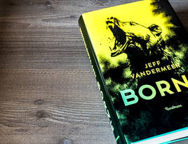 Rezension jeff vandermeer borne kunstmann wortgestalt buchblog